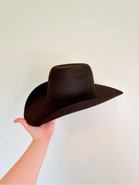 Resistol 4X Day Money Hooey Cowboy Hat - brown